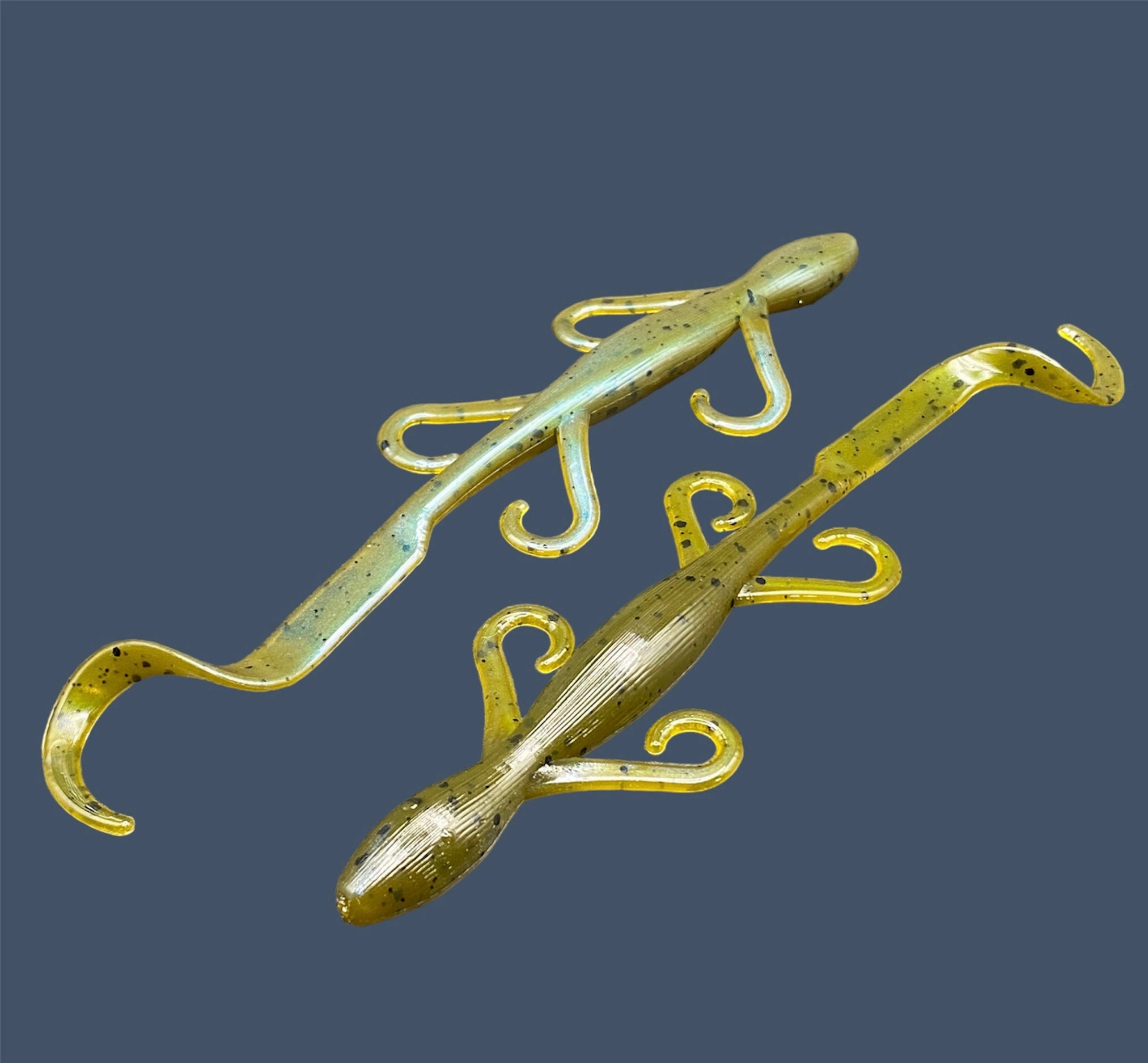 Lizard