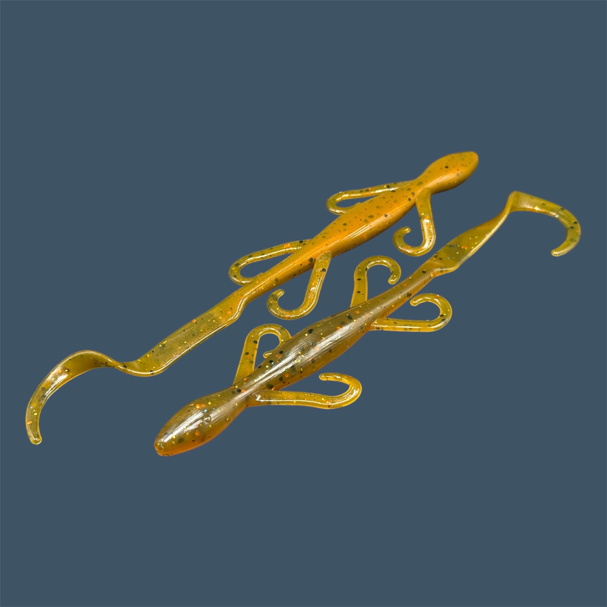 Lizard