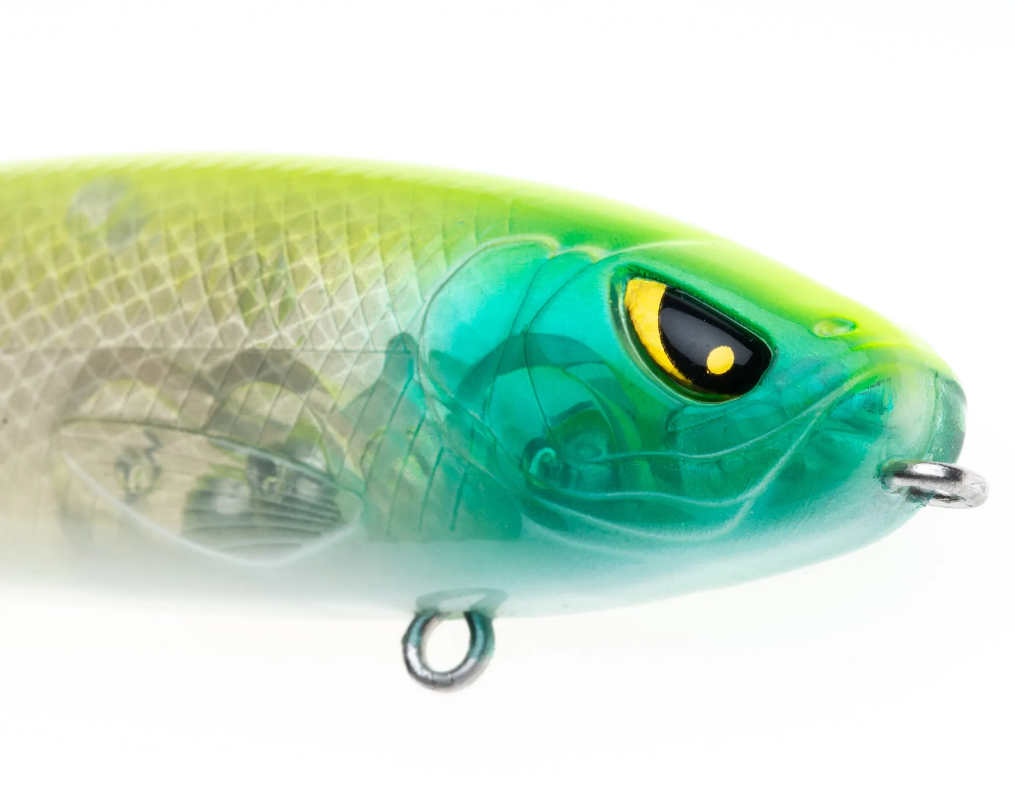 Mischief Minnow