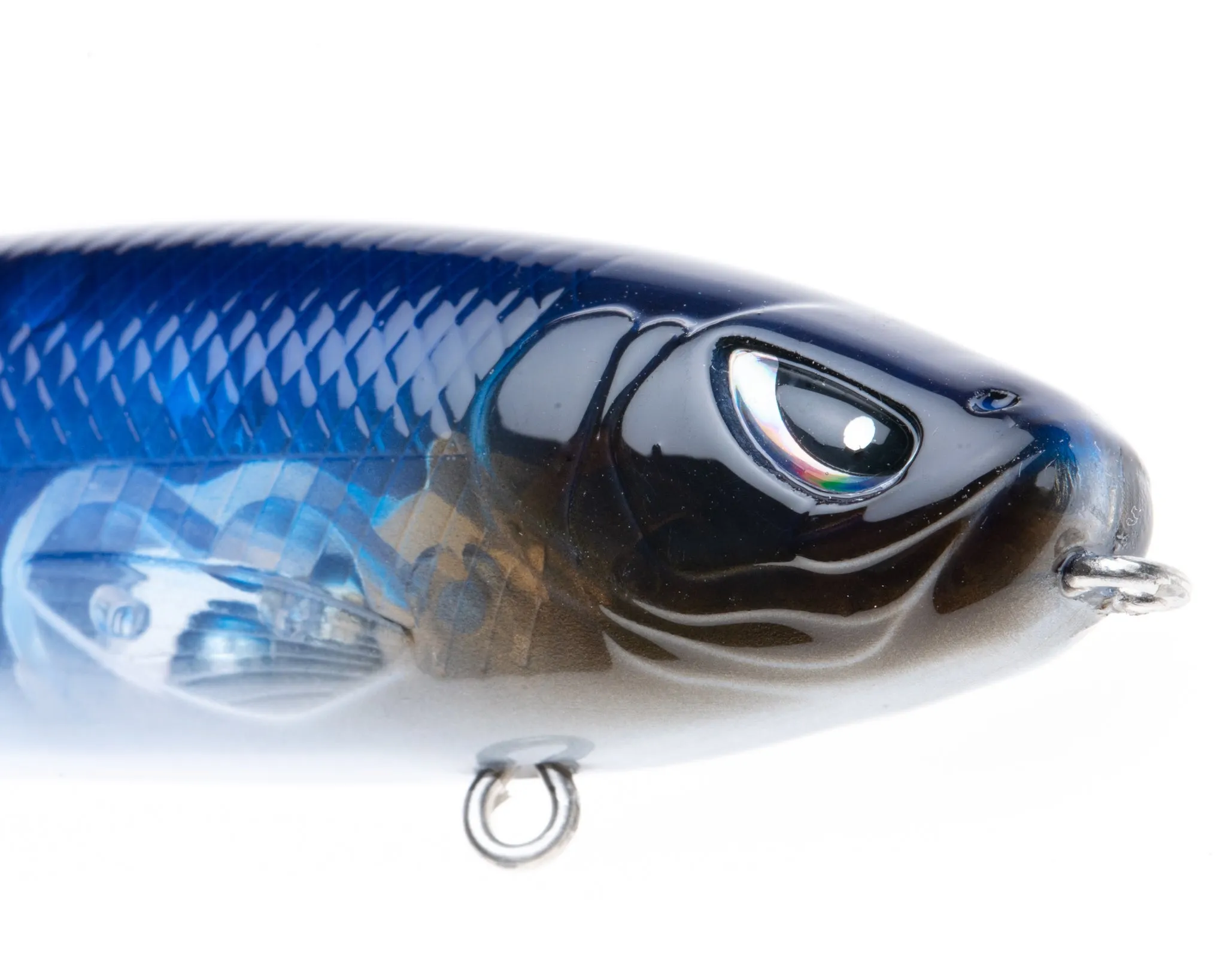Mischief Minnow