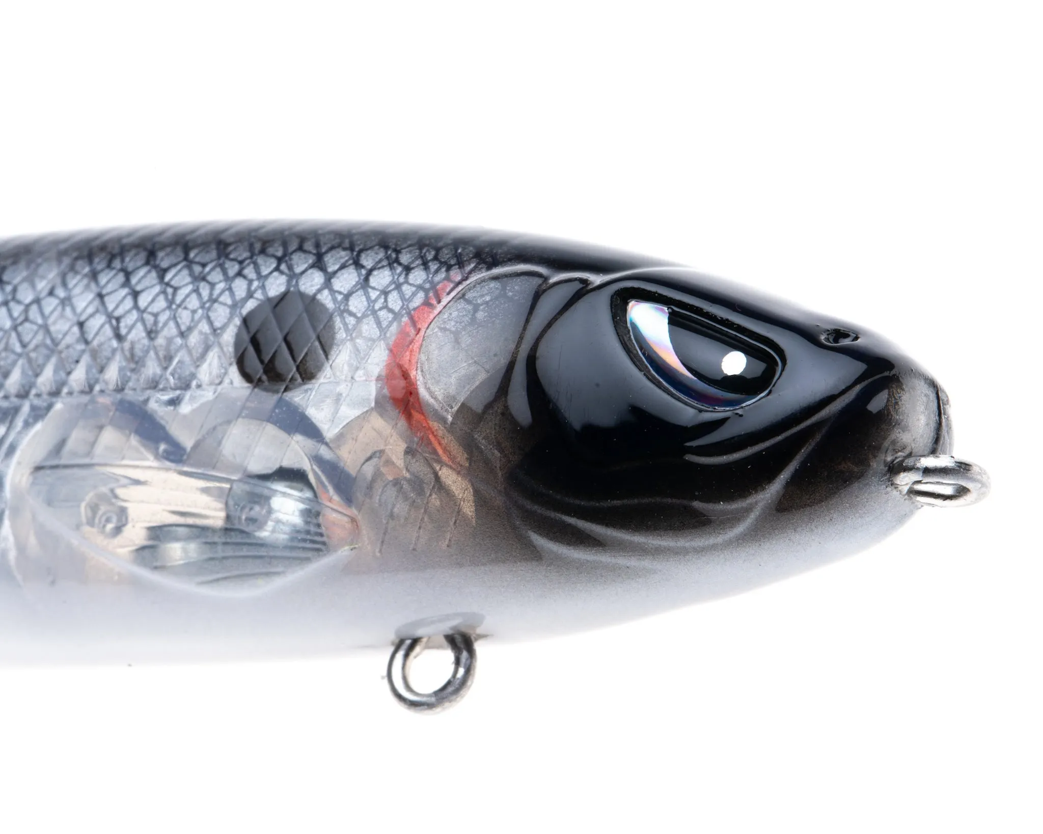 Mischief Minnow