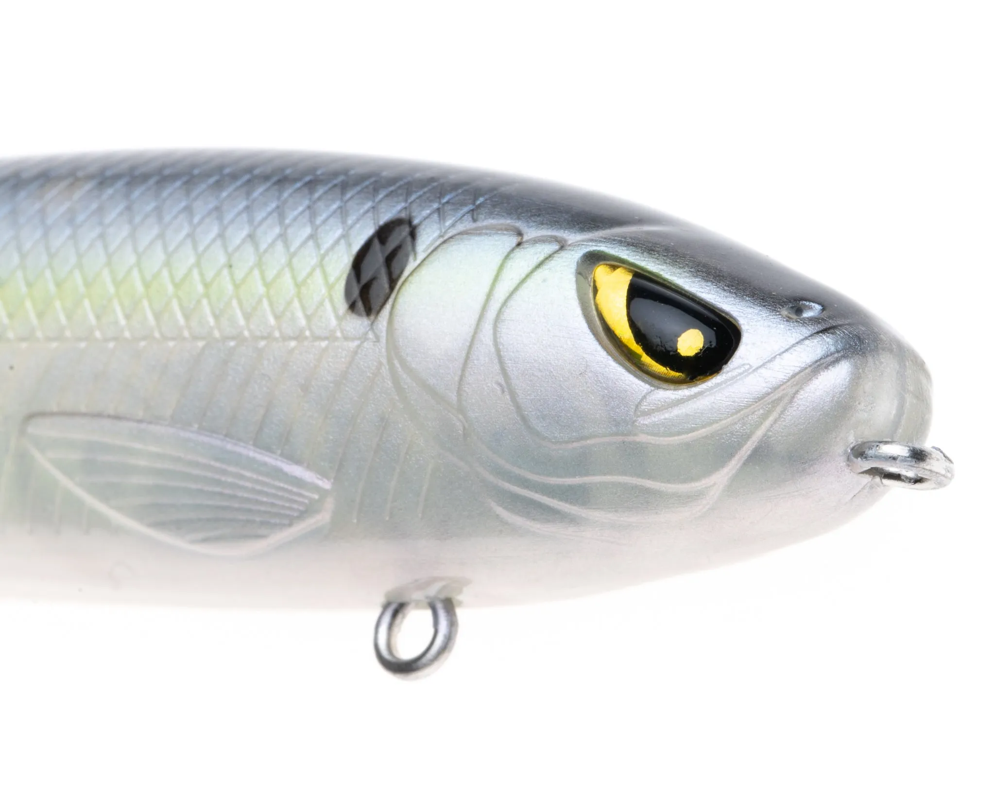Mischief Minnow