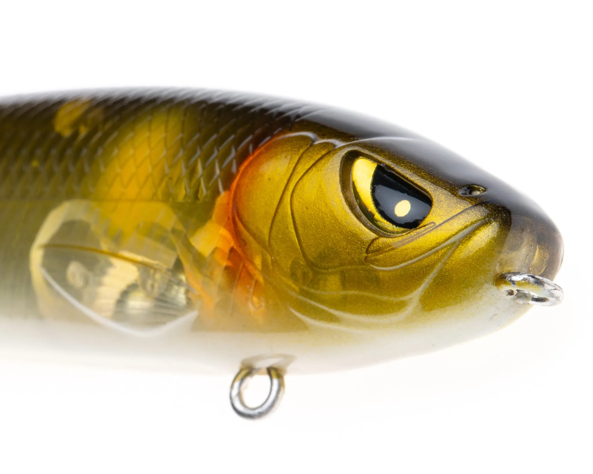 Mischief Minnow