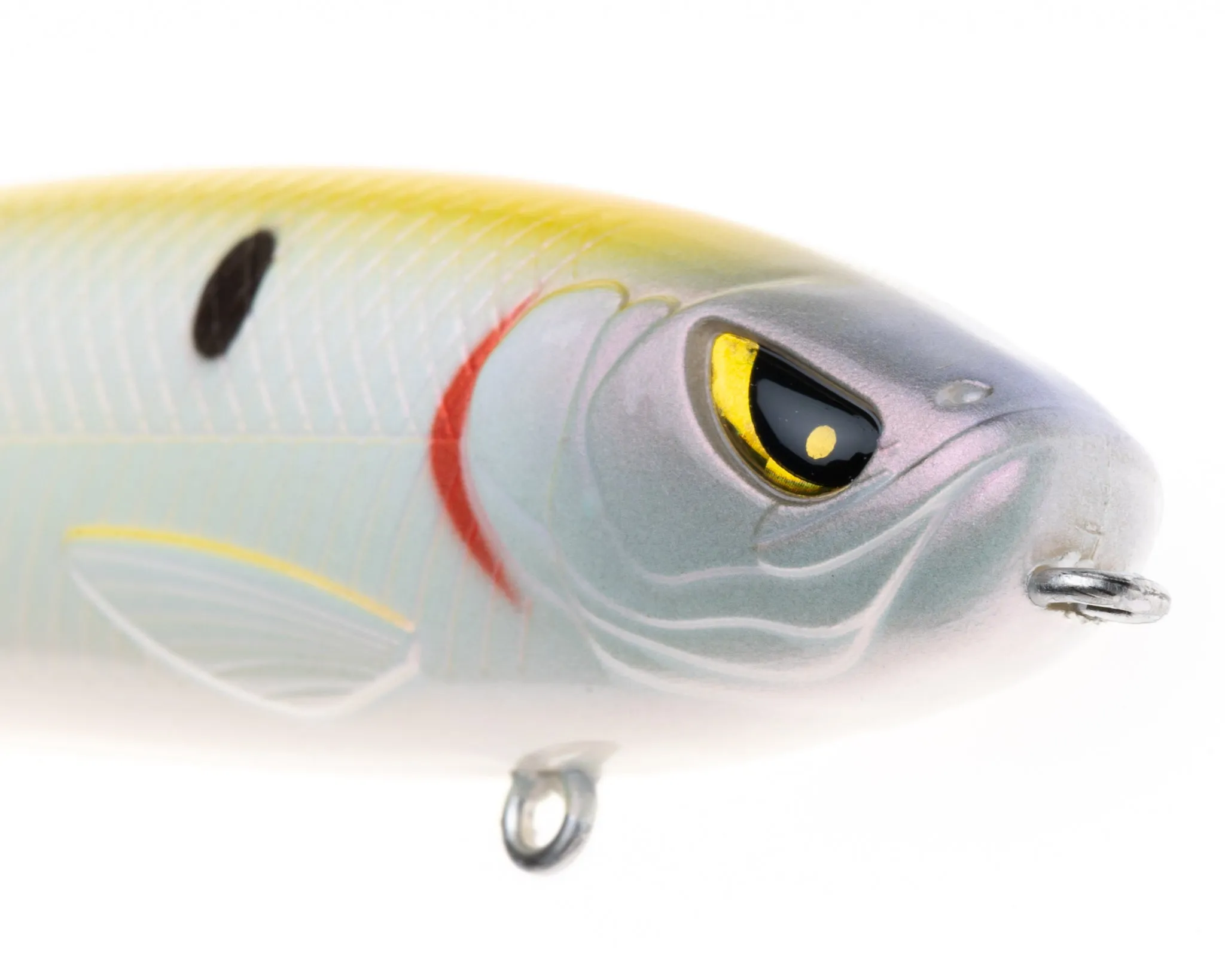 Mischief Minnow