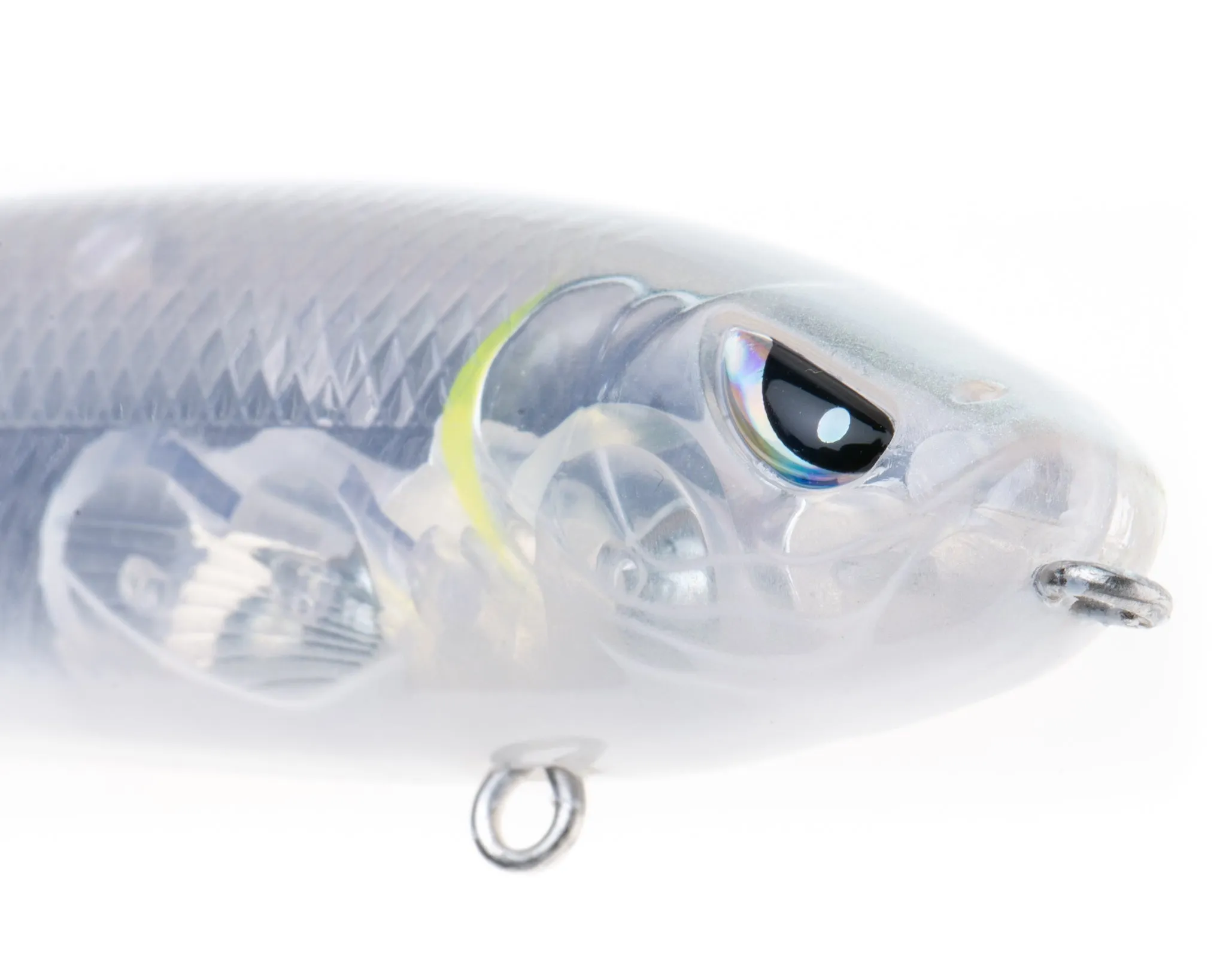 Mischief Minnow