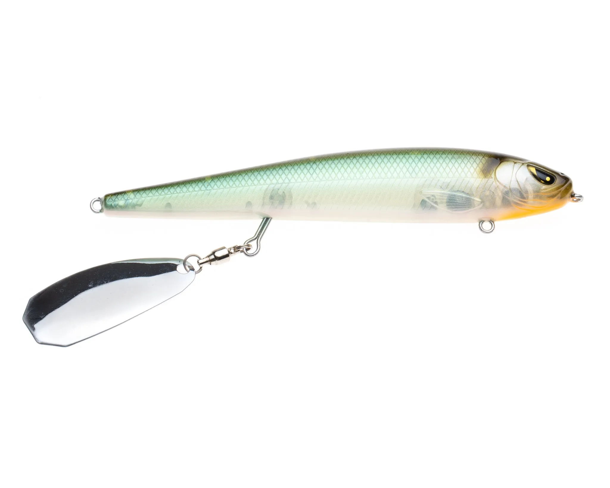 Mischief Minnow