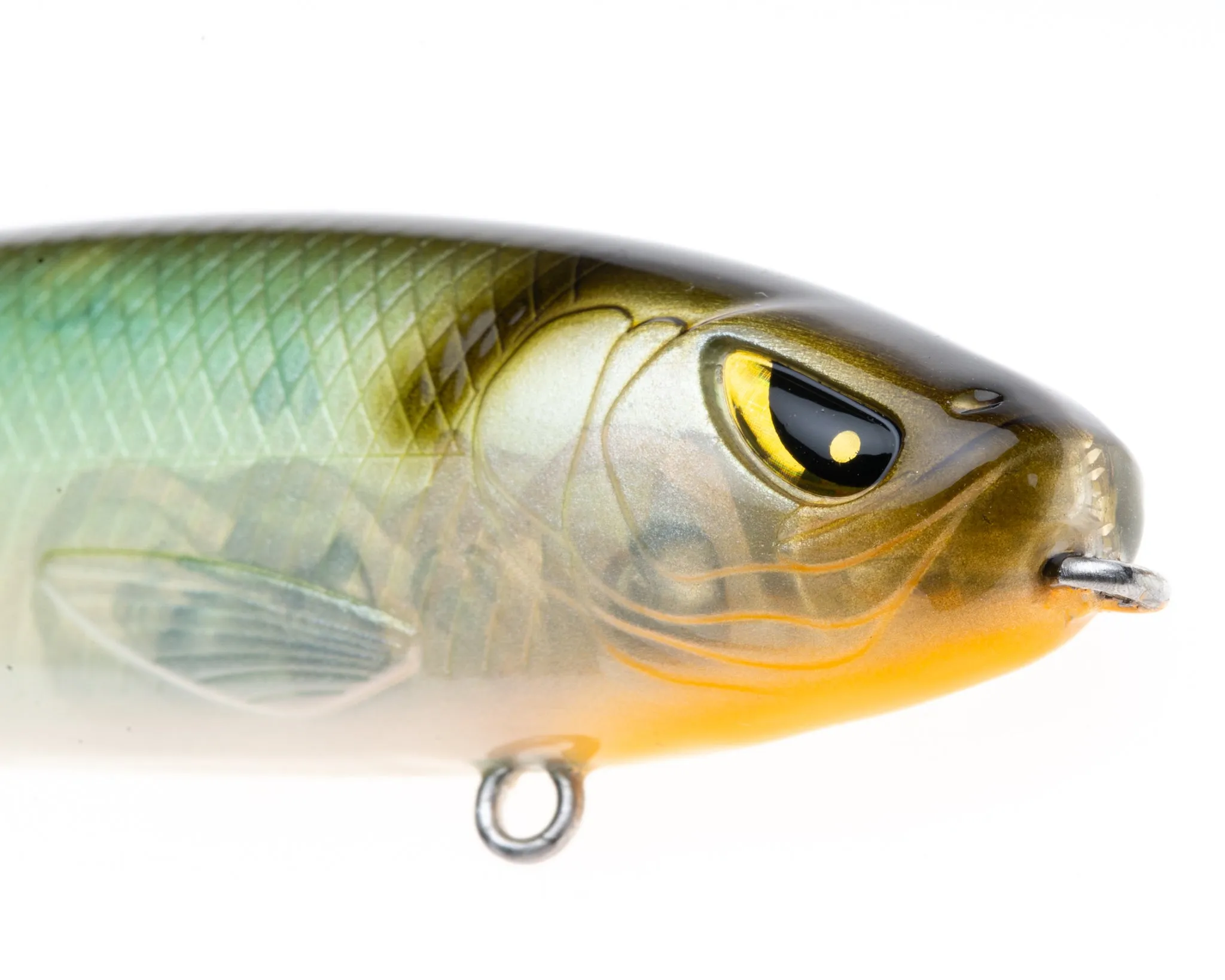 Mischief Minnow