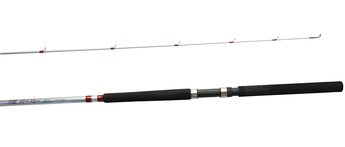 Silver Pro Series Jigging Rod