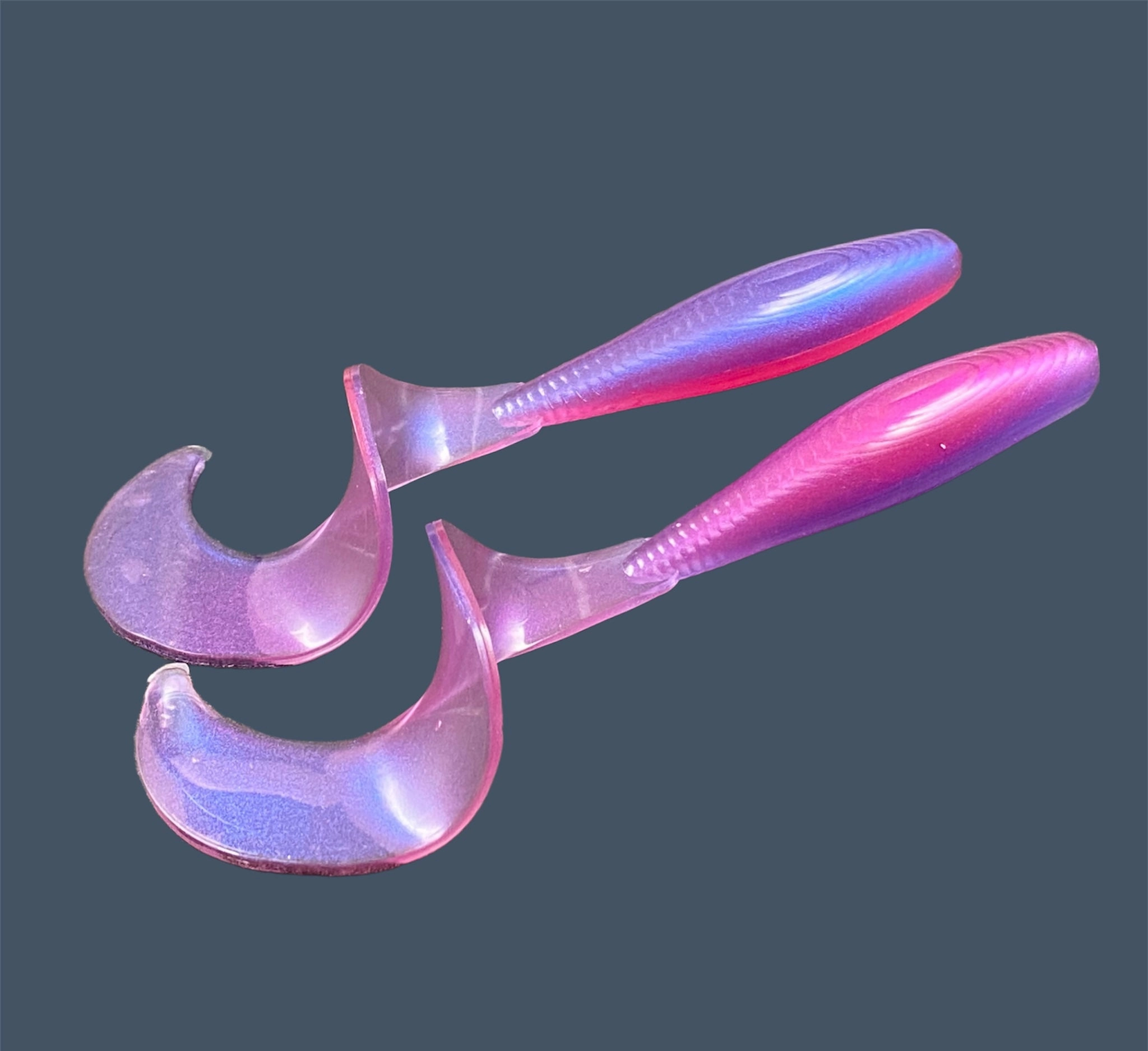 Single Tail Grub