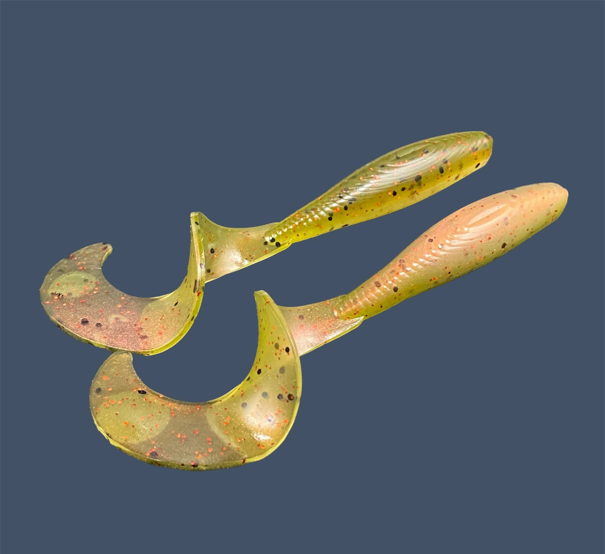 Single Tail Grub