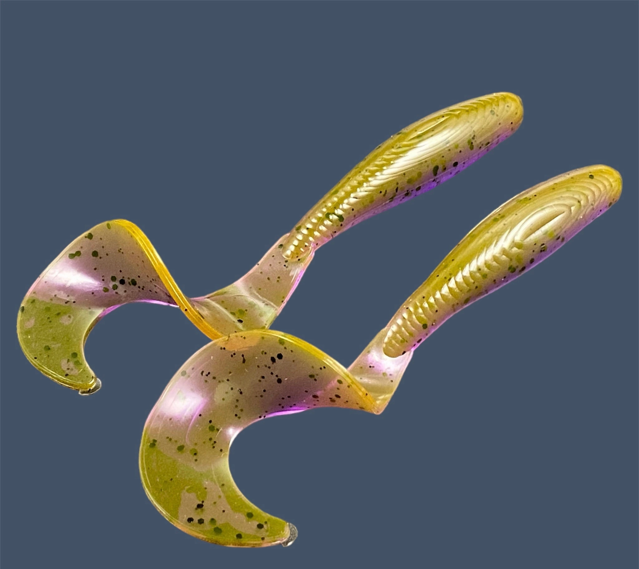 Single Tail Grub